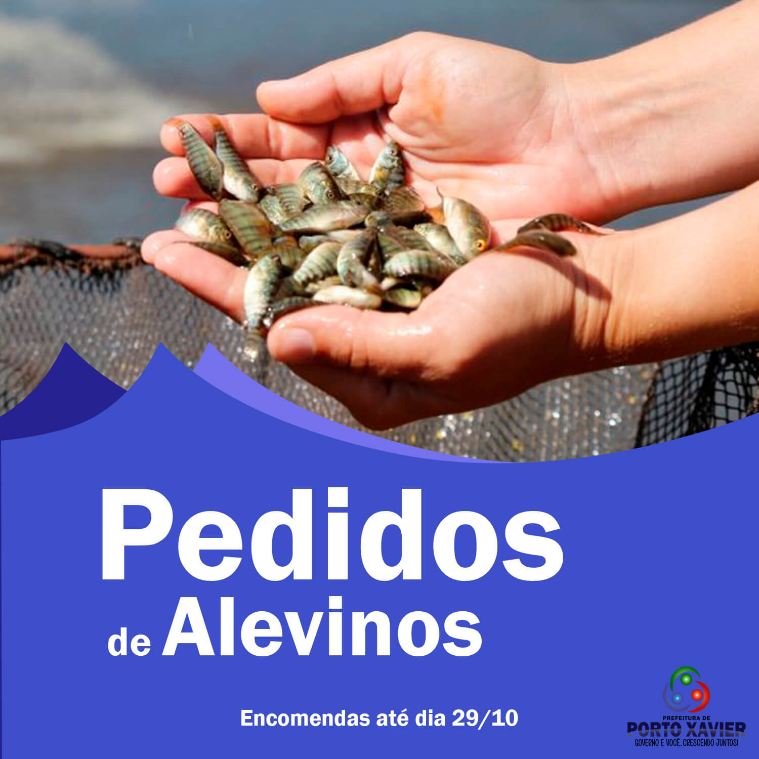 ENCOMENDA DE ALEVINOS